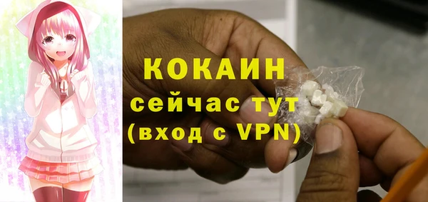 соль ск Тавда