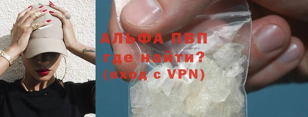 трава Тайга