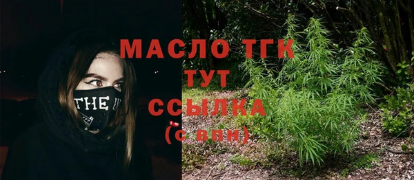 соль ск Тавда