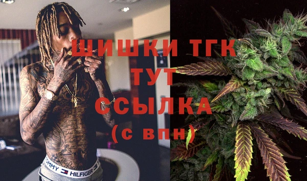 соль ск Тавда