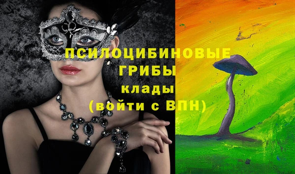 винт Струнино