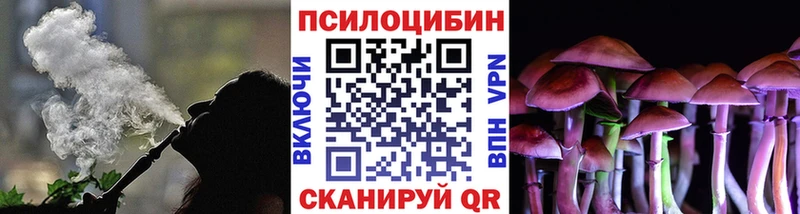 Псилоцибиновые грибы MAGIC MUSHROOMS  Купить закладки  Зеленокумск 