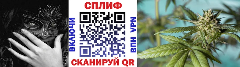Купить где Зеленокумск Каннабис ГИДРОПОН